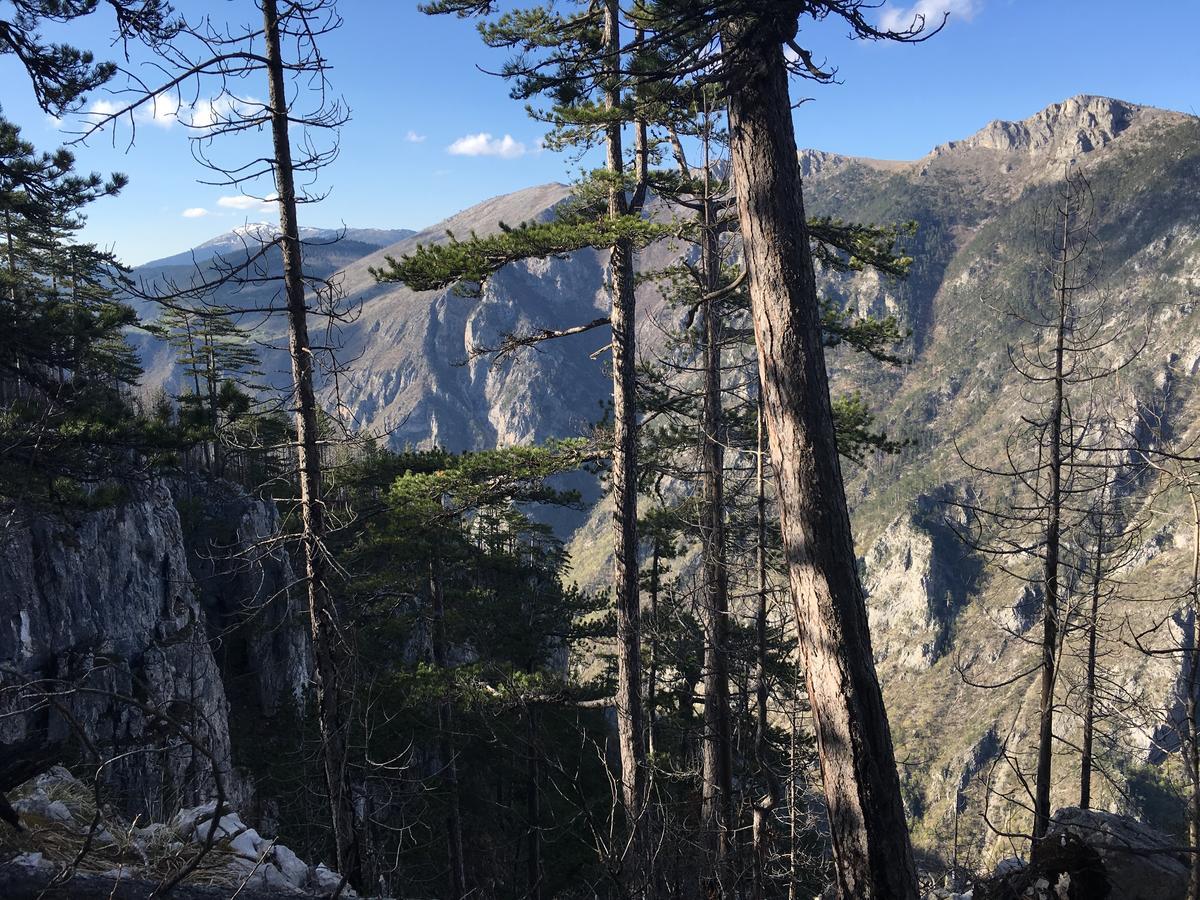 Вилла Monte Zen Жабляк Экстерьер фото